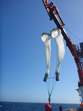 Dan deploying the new nets he constructed from spare parts